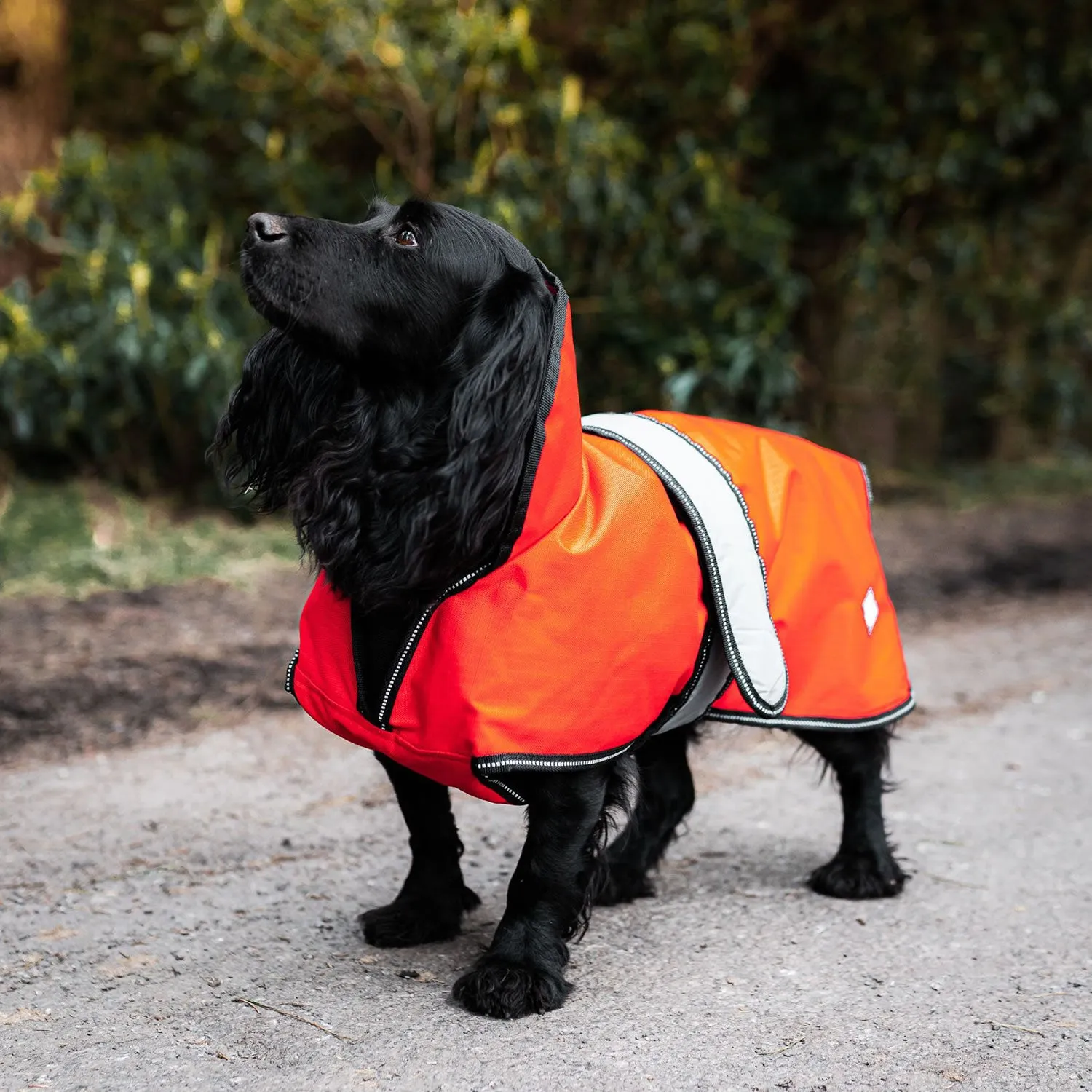 Danish Design Ultimate 2 In 1 Dog Coat