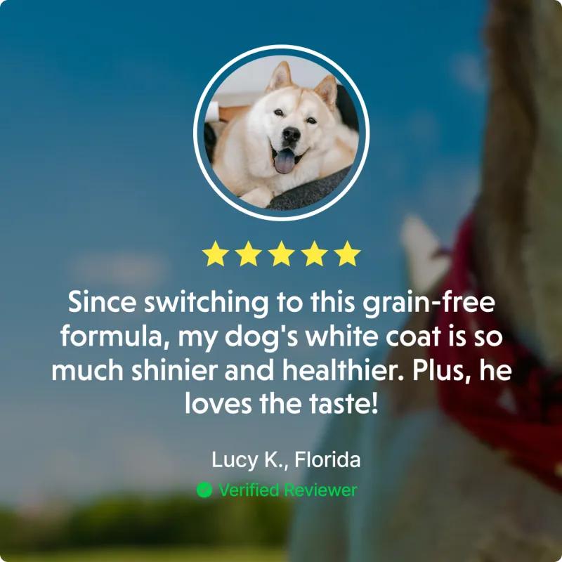 Nature's Protection Superior Care White Dogs Grain-Free Dry Dog Food For Adult Large Breeds Light Coated Dogs, White Fish And Krill