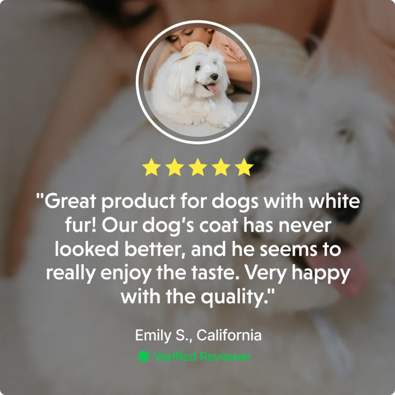 Nature's Protection Superior Care White Dogs Grain-Free Dry Dog Food For Junior Small and Mini Breeds Light Coated Dogs, White Fish