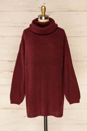 Rennes Burgundy | Knit Turtleneck Sweater