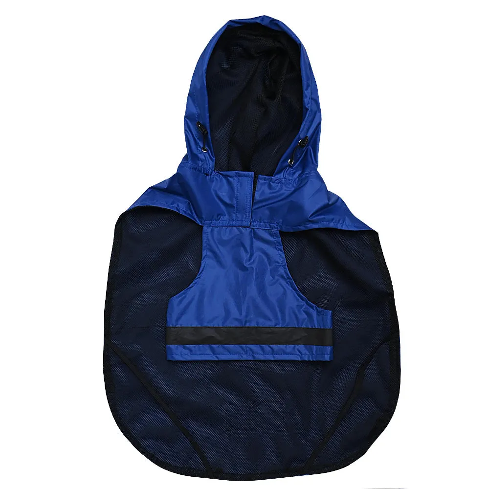 Royal Blue Raincoat