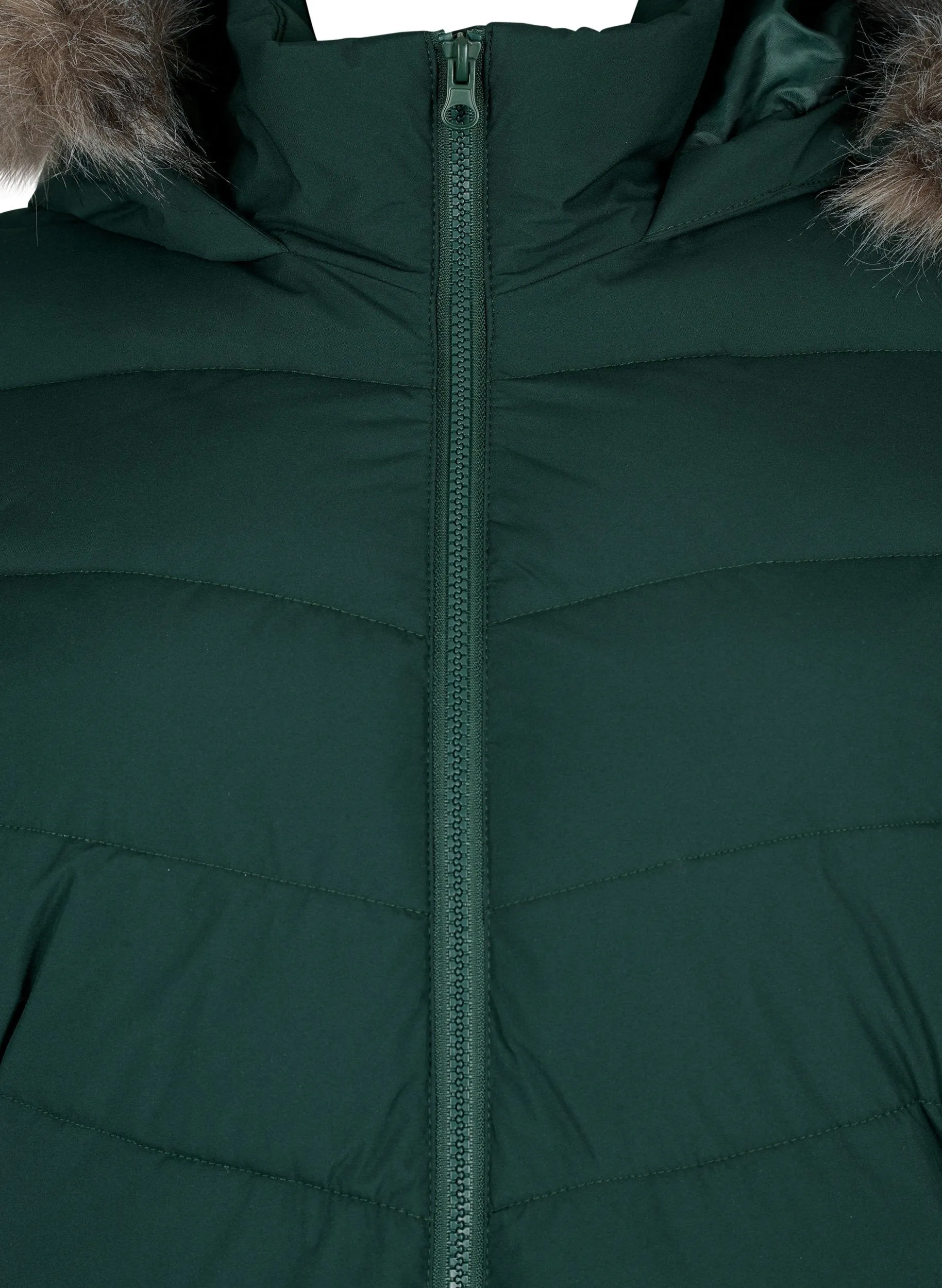 Zizzi Julia Coat in Green